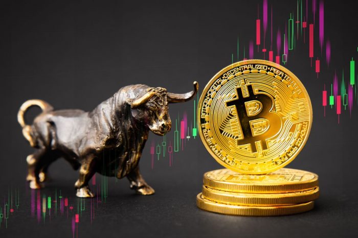 Analyst: Bitcoin Bulls In A Mere “Warm Up,” A Mega Rally Incoming