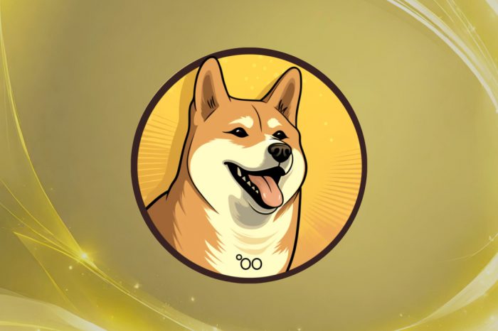 Dogecoin20 Meme Coin Launches ICO and Raises $200K Within Hours
