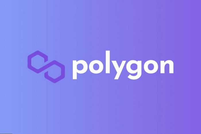 Polygon (MATIC) Network Experiences 12-Hour Outage