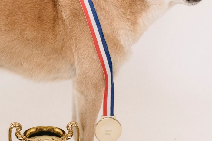 Shiba Inu Snags Silver: Memecoin Is Europe’s 2nd Most Beloved Crypto
