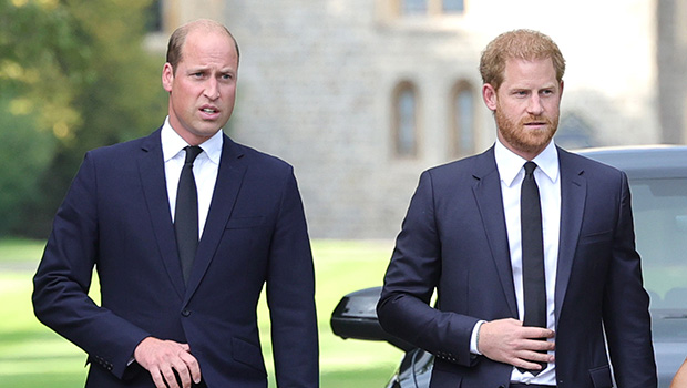 Prince Harry Reportedly Contacted Prince William After Kate Middleton’s ‘Serious Operation’