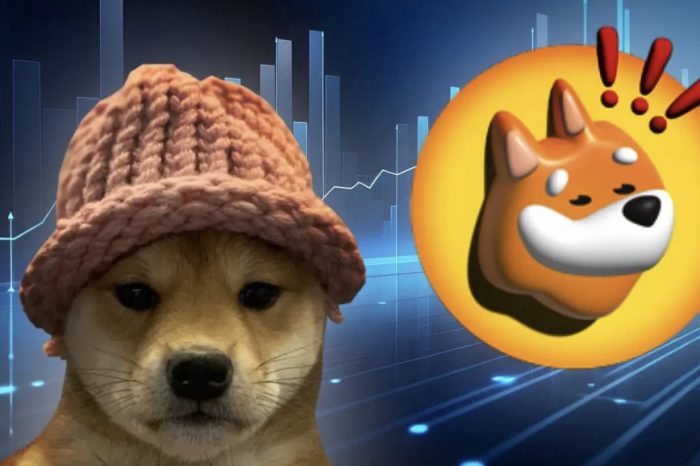 Bonk, Dogwifhat Prices Slide But Traders Think This New Solana Memecoin Could 100X