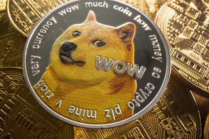 Dogecoin Loses $3.7 Billion in 10 Days