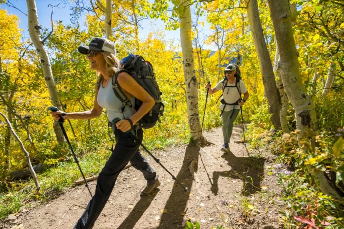 Why trekking poles are the most underrated piece of outdoor gear
