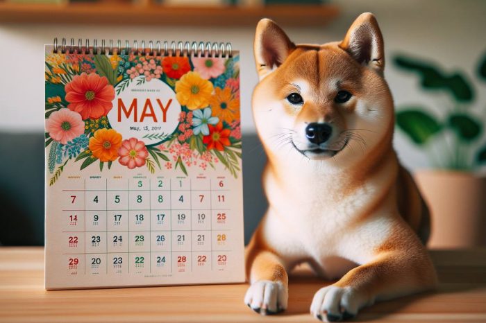 Dogecoin Forms A New Macro Uptrend: How High Doge Will Trade In May?