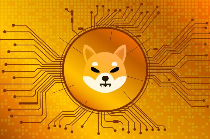 First US Public Company Embraces Shiba Inu For Payments